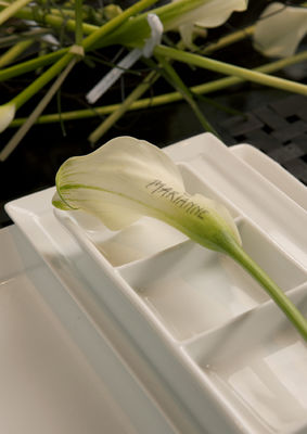 brud 10 BORD_DSC0429