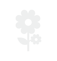 Produkt mangler bilde